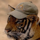 skyflakes-master avatar