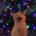 skylar-ish-meh avatar