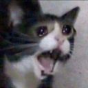 skylarthedummy-blog avatar