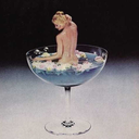 skyler-dlight avatar