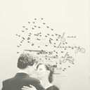 skylightserene avatar