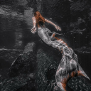 skymermaid avatar