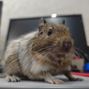 skyscrapersss avatar