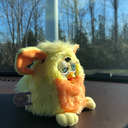 skysfurbies avatar