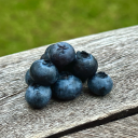 skywalkerqilori avatar