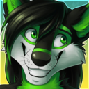 skywardwolfy avatar