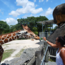 skywayavenueeee avatar