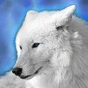 skywolf25 avatar