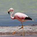 skyzthelimit09 avatar