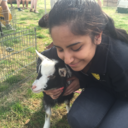 slacka-daisical avatar