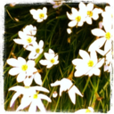 slammingrevolvingdoors avatar