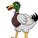 slanderous-lies avatar