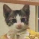 slasherboy-brainrot avatar