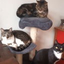 slashfilled-mind avatar