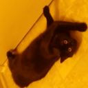 slashlover25503 avatar