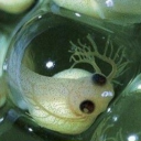 slatecreature avatar