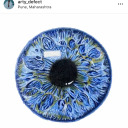 slaughtered-rainbow avatar