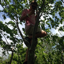 slaughterfish avatar