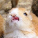 slaughterlemon avatar