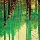 slayer-sparks avatar