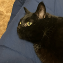 slaying-one-day-at-a-time avatar