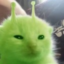 slaytanxo avatar