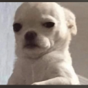 sleekastronaut avatar