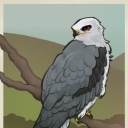 sleep-deprivedwizarddd avatar