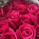 sleep-for-dead-always avatar