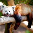 sleep-less-read-more avatar