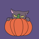 sleepdeprived-idiot avatar