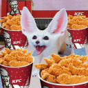 sleepdeprivedbards avatar