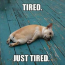 sleepdeprivedbookworm avatar