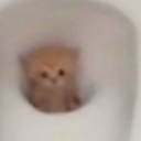 sleepdeprivedguystuff avatar