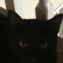 sleepdeprivedvoid avatar