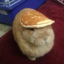 sleepiestduuuude avatar