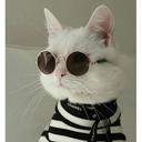 sleeping--paradise avatar