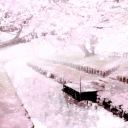 sleepingbeautyysblog avatar