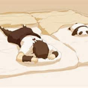 sleepinglikeapanda-blog avatar