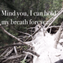 sleepingwiththeveilofmen avatar