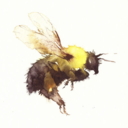 sleeplessvoyage-blog avatar