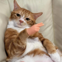 sleepovers144 avatar