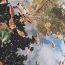 sleepundertheclouds avatar