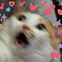 sleepwrithermit avatar