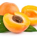 sleepy-apricot avatar