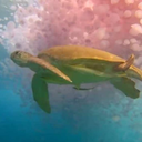 sleepy-deadgirl avatar