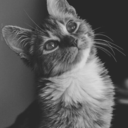 sleepy-kittensxo avatar