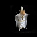 sleepy-lil-man avatar