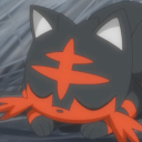 sleepy-litten-trainer avatar