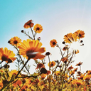 sleepy-n-spooky-blog avatar